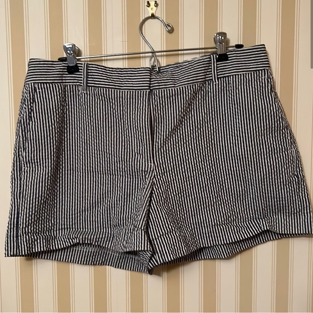 Ann Taylor Striped Women's Shorts 12
